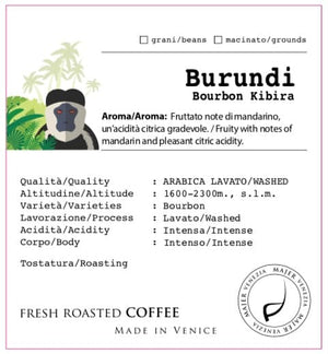 Caffè Burundi Burbon Kibira